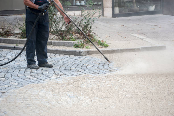 Animal Enclosure Cleaning in Port Charlotte, FL